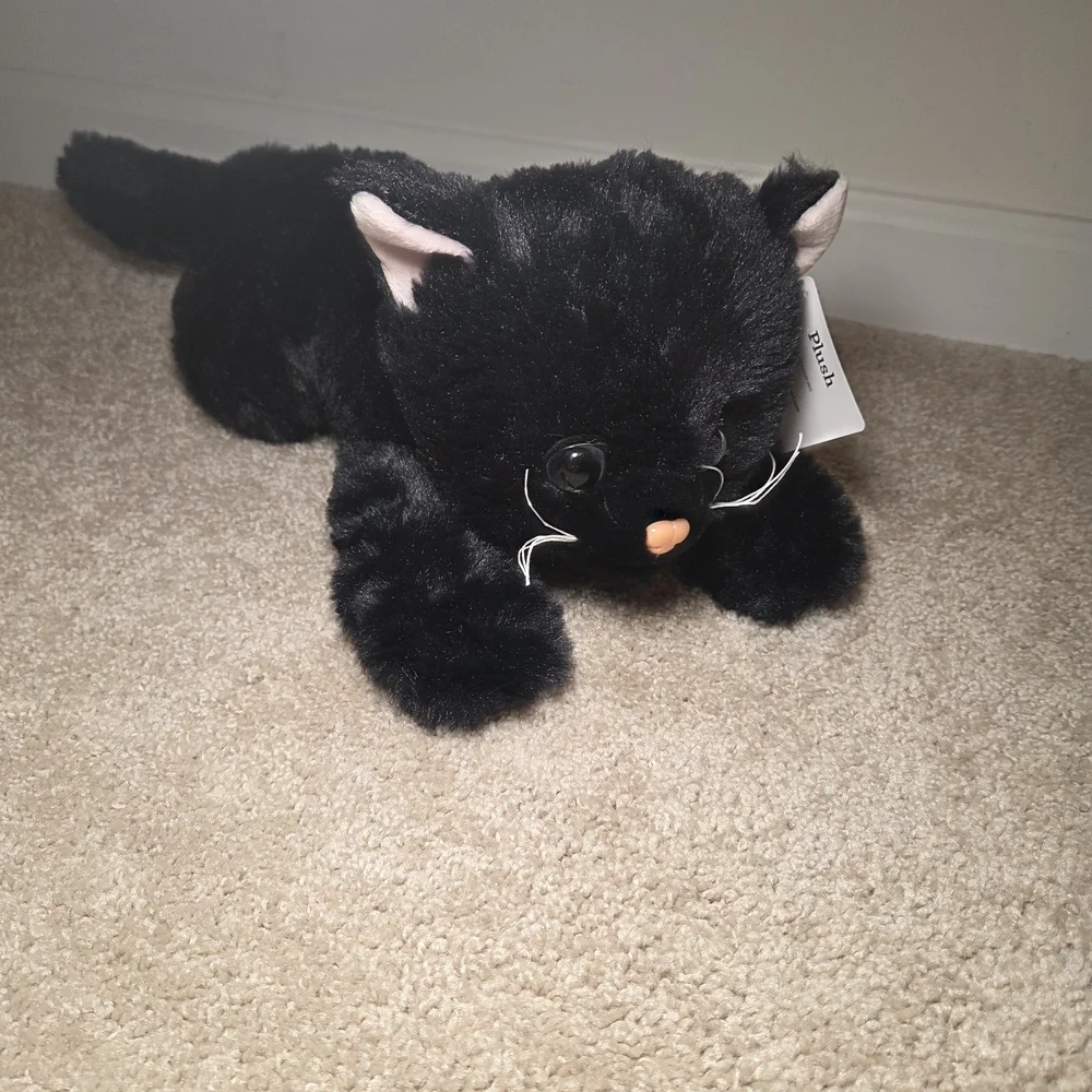 Plush Black Cat Toy